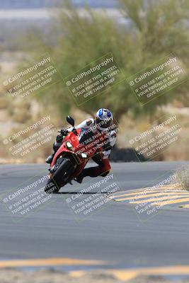 media/May-14-2023-SoCal Trackdays (Sun) [[024eb53b40]]/Turn 5 Tree of Life (1125am)/